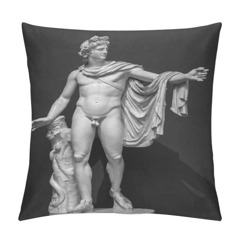 Personality  Apollo Belvedere Statue. Pillow Covers