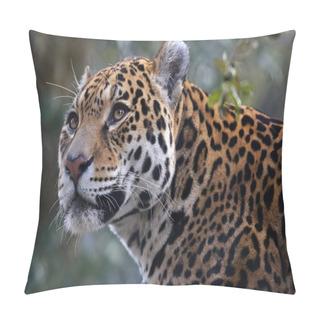 Personality  Big Male Jaguar Pillow Covers