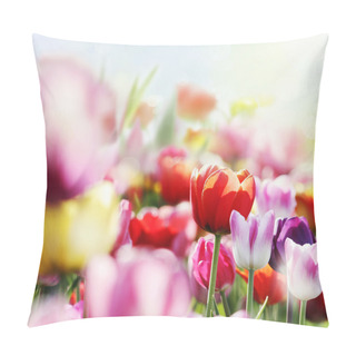 Personality  Colorful Tulips In Bloom Pillow Covers