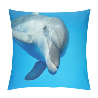Personality  Dolphin Under Water Pillow Covers