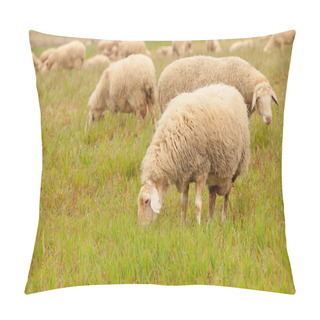 Personality  Sheep Grazing In Meadow Pillow Covers
