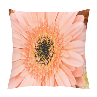 Personality  Close Up View Of Pink Gerbera Flower Pillow Covers