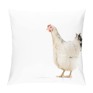 Personality  Chicken Pillow Covers