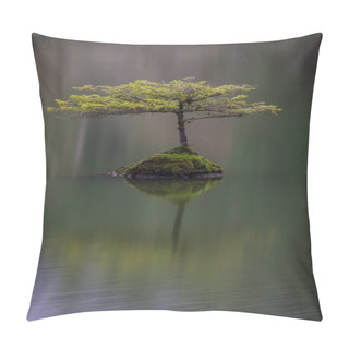 Personality  Lonely Tree At Fairy Lake Near Port Renfrew, BC Pillow Covers
