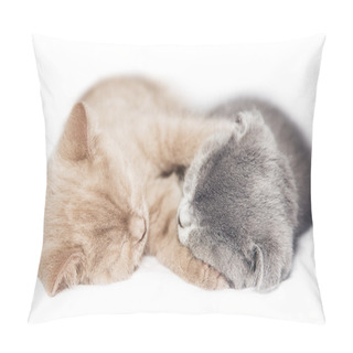 Personality  Two Kittens Hugging Sleep Pillow Covers