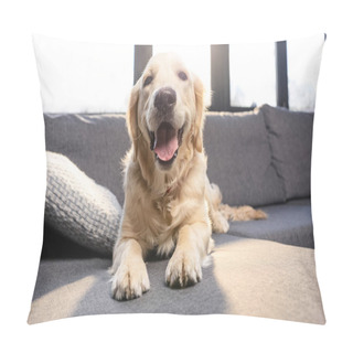 Personality  Golden Retriever Dog  Pillow Covers