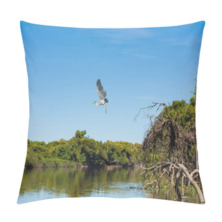 Personality  Maguari Stork (C. Maguari), Taking Off At Pantanal (Brazilian Wetlands), In Aquidauana, Mato Grosso Do Sul, Brazil Pillow Covers