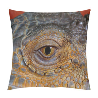 Personality  Young Animals, Selective Focus Pillow Covers
