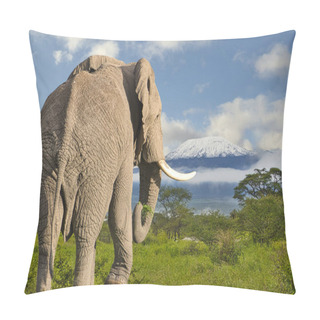 Personality  Elephants And Mount Kilimanjaro In Amboseli National Park  Pillow Covers