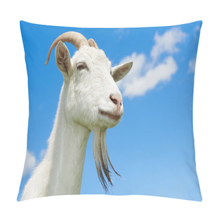 Personality  Goat With Horn At Green Pasture Pillow Covers