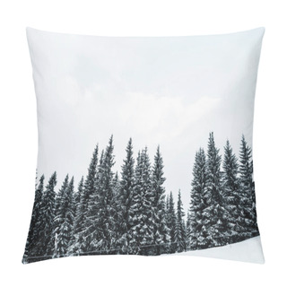 Personality  Scenic View Of Pine Forest With Tall Trees Covered With Snow On Hill Pillow Covers