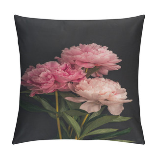 Personality  Three Pink Peony Flowers On Black Background. Pillow Covers