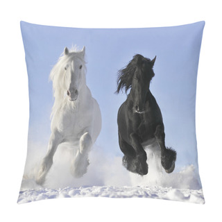 Personality  White And Black Horse Pillow Covers