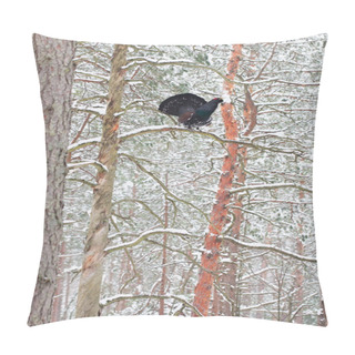 Personality  Male Capercaillie Displaying In A Pine Forest Pillow Covers