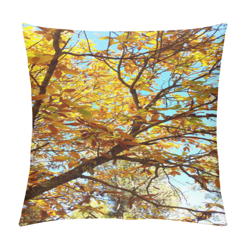 Personality  chestnut foliage pillow covers
