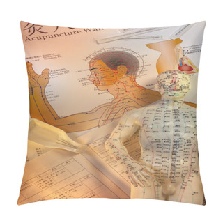 Personality  Traditional Chinese Acupuncture Pillow Covers