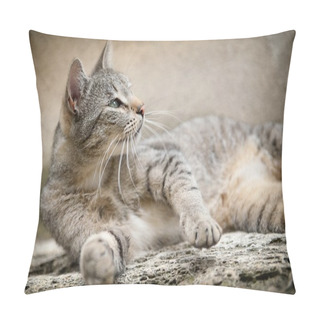 Personality  Lying Cat Pillow Covers