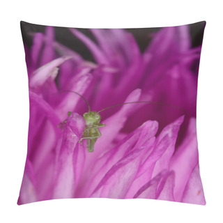 Personality  Hottentot Fig And Green Grasshopper Pillow Covers