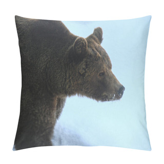 Personality  The Brown Bear Walking In Snow At Forest Winter Pillow Covers