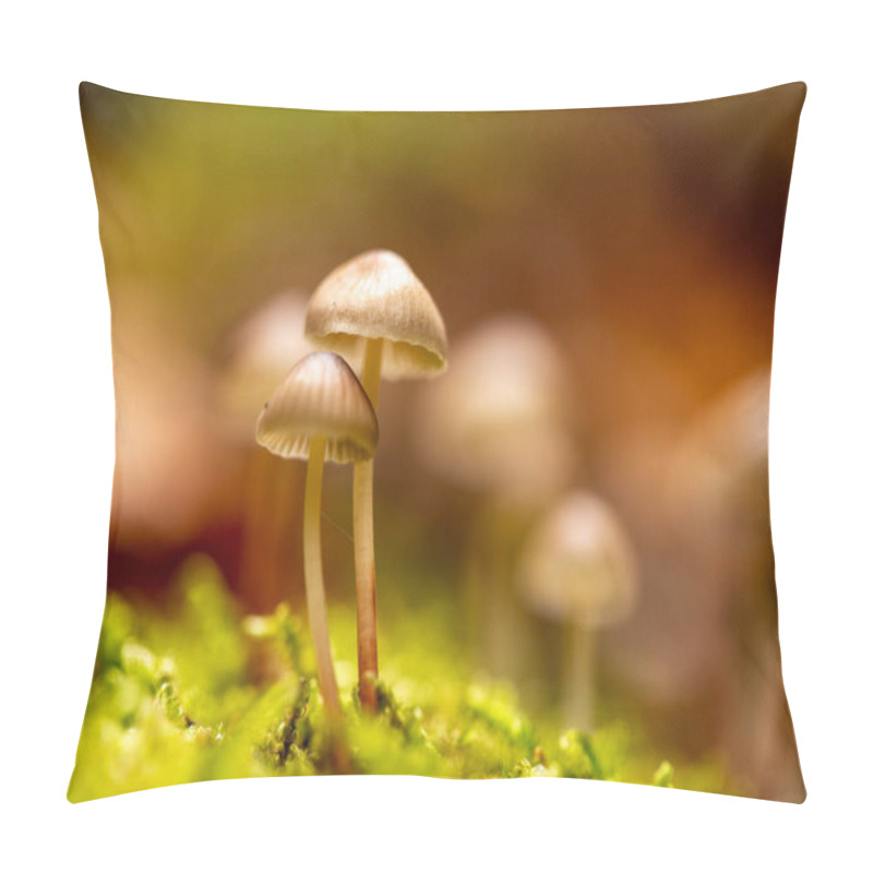 Personality  mushrooms in the forest pillow covers