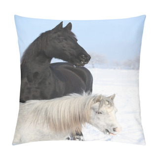 Personality  Grey Pony With Black Friesian Horse Pillow Covers