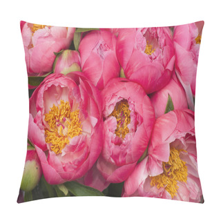 Personality  Red And Pink Paeon Flowers In Full Bloom Pillow Covers