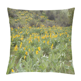 Personality  Forest Hillside Covered In Wild Arrowleaf Balsamroot Yellow Flowers Pillow Covers