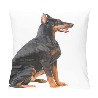 Personality  Doberman Pillow Covers