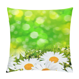 Personality  Wildflowers Daisies. Summer Landscape. Pillow Covers