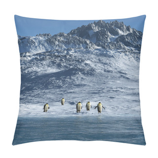 Personality  Penguins Pillow Covers