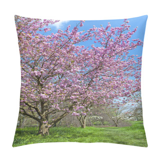 Personality  Blooming Cherry Blossom Trees In The Garden Pillow Covers
