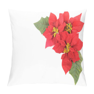 Personality  Poinsettias Flower Pillow Covers