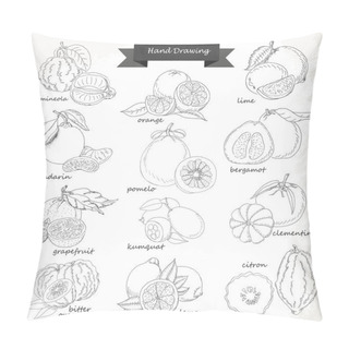 Personality  Set Of Citrus Fruits. Vector Hand Drawing Sketch Illustration Pillow Covers