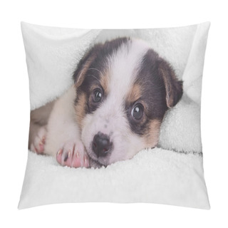 Personality  Little Puppy Crossbreed Pillow Covers