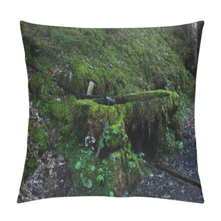 Personality  Playful Sun Rays In A Morning Forest Pillow Covers