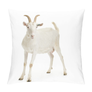 Personality  Goat Pillow Covers