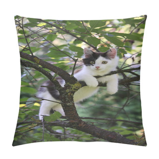 Personality  Cute Kitten Resting On The Tree Branch Pillow Covers