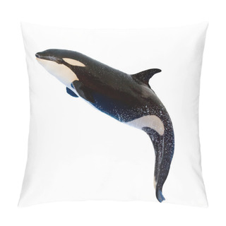 Personality  A Killer Whale, Orcinus Orca Pillow Covers