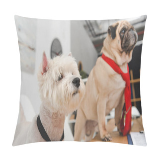 Personality  Business Dogs In Neckties Pillow Covers