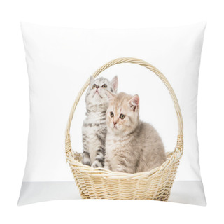 Personality  Cute Fluffy Kittens Sitting In Wicker Basket Isolated On White   Pillow Covers