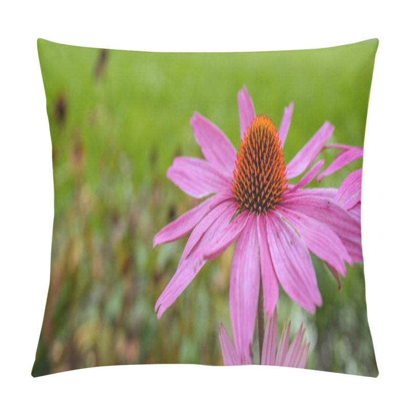 Personality  Echinacea Pillow Covers