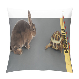 Personality  Tortoise-hare Pillow Covers