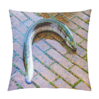 Personality  Eel In The Streets Of Urk In The Netherlands Pillow Covers