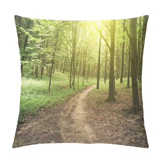 Personality  Beautiful Nature At Morning In Misty Spring Forest With Sun Rays Pillow Covers