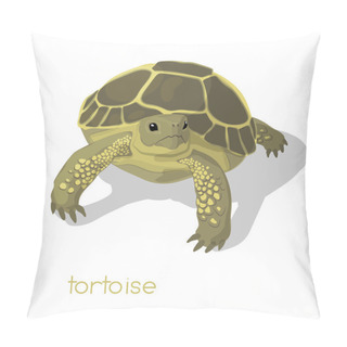 Personality  Basic RGBTortoise Casts A Shadow  Pillow Covers