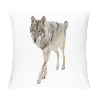 Personality  Running Gray Wolf Isolated On A White Background. Pillow Covers