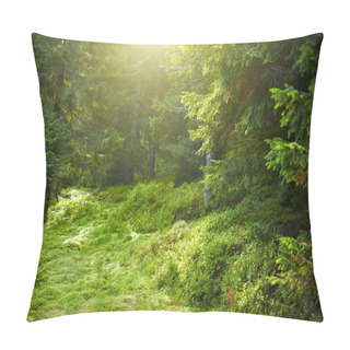 Personality  Landscape With Sunlit Spruce Tree Forest Pillow Covers