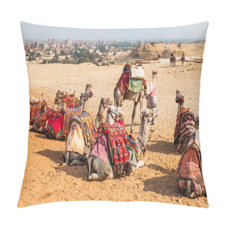 Personality  Camels Resting Near The Egyptian Pyramids. Pillow Covers