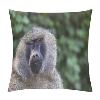 Personality  Head View Of Anubus Baboon In Tarangire National Park, Tanzania Pillow Covers