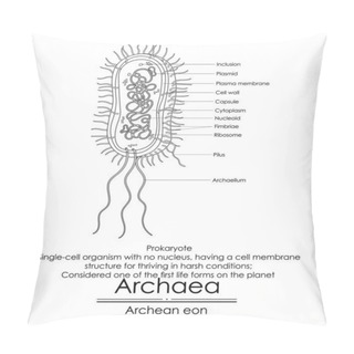Personality  Archaea Are Considered One Of The First Life Forms On The Planet, Simple Single-cell Organisms Without A Nucleus. Black And White Illustration  Pillow Covers